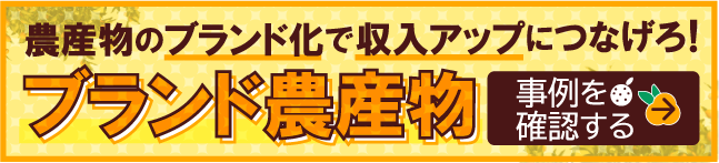 農産物のブランド化で収入アップにつなげろブランド農産物の事例を確認する
