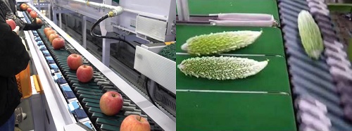 イタマーズ万能選果機